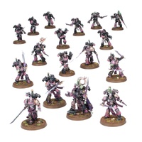 Emperor's Children Combat Patrol
