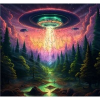 Earthly Encounter 1000pc