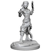 Shifter Fighter unpainted mini