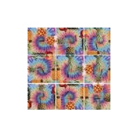 Squzzle Groovy Pineapples