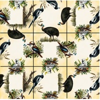 Squzzle Australian Birds