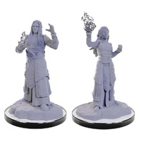 Elf Wizards unpainted minis