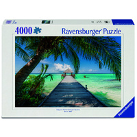 Dream Beach in the Maldives 4000pc