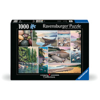 West Coast Tranquility 1000pc