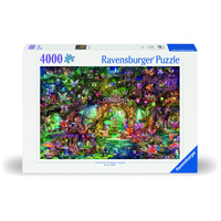 The Hidden World of Fairies 4000pc