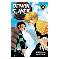 Demon Slayer Vol03