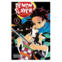 Demon Slayer Vol01