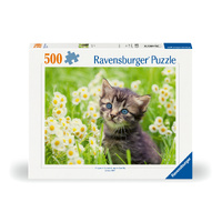 Kitten in the Meadow 500pc