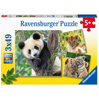 Panda Lion and Tiger Cubs 3x49pc