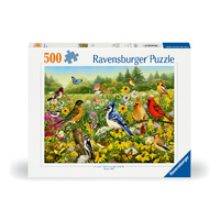 Birds in the Meadow 500pc