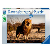 Lion, King of the Animals 1500pc