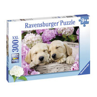 Sweet Dogs in a Basket 300pc