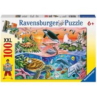 Beautiful Ocean 100pc