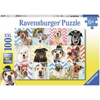 Doggy Diguise 100pc