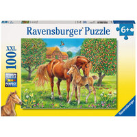 Horses in the field 100pc