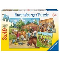 A Day with Horses 3x49pc