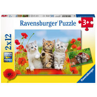 Kitten Adventures 2x12pc