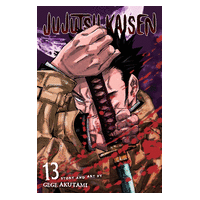 Jujutsu Kaisen Vol13