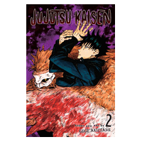 Jujutsu Kaisen Vol2