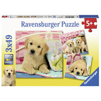Cute Puppy Dogs 3x49pc puzzles
