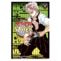 Demon Slayer Vol17