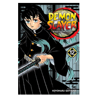 Demon Slayer Vol12