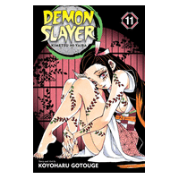 Demon Slayer Vol11