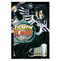Demon Slayer Vol 19