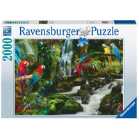 Parrots Paradise 2000pc