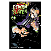 Demon Slayer Vol13