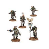 Solar Auxilia: Tactical Command Section